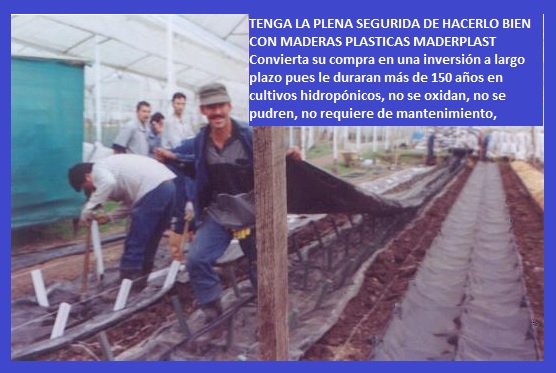 hidroponía cultivo hidropónico en el piso o elevado en niveles con plásticos maderplast surcos tutores hidropónicos bandejas camas recipientes manual de cultivo hidropónico bandejas elevadas 04 hidroponía cultivo hidropónico en el piso o elevado en niveles con plásticos maderplast surcos hidroponía cultivo hidropónico en el piso o elevado en niveles con plásticos maderplast surcos tutores hidropónicos bandejas camas recipientes manual de cultivo hidropónico bandejas elevadas 04 tutores hidropónicos bandejas camas recipientes manual de cultivo hidropónico bandejas elevadas 04